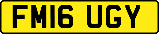 FM16UGY