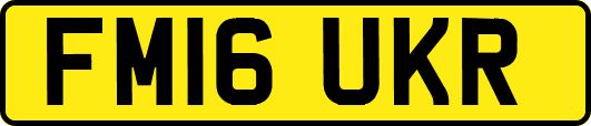FM16UKR