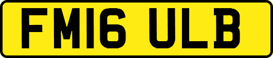 FM16ULB