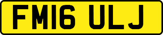 FM16ULJ