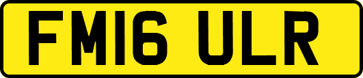 FM16ULR