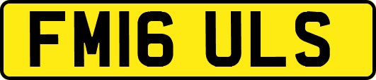 FM16ULS