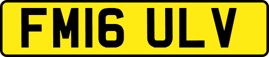 FM16ULV