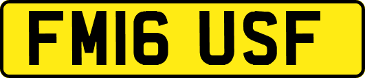 FM16USF