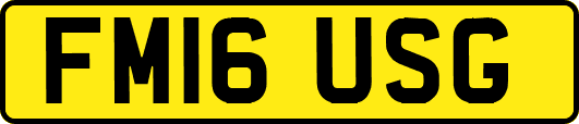 FM16USG