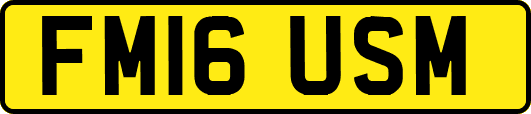 FM16USM