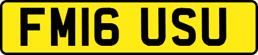 FM16USU