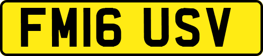 FM16USV