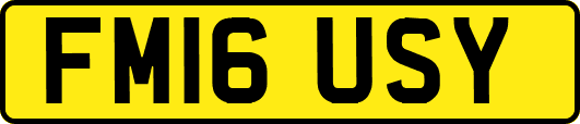 FM16USY