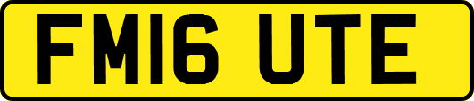 FM16UTE