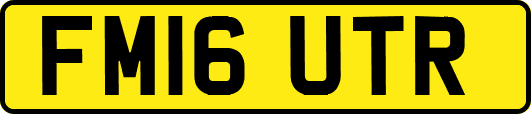 FM16UTR