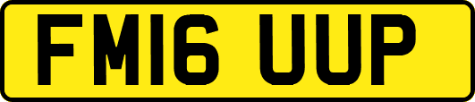 FM16UUP