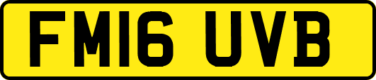 FM16UVB