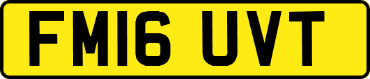 FM16UVT