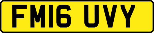 FM16UVY