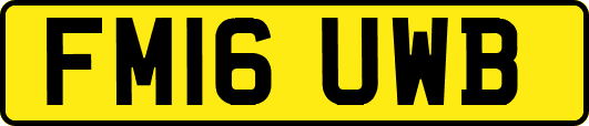 FM16UWB