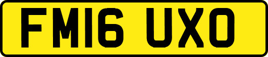 FM16UXO