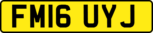 FM16UYJ