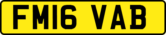 FM16VAB