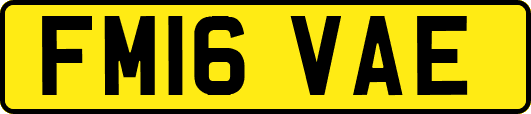 FM16VAE