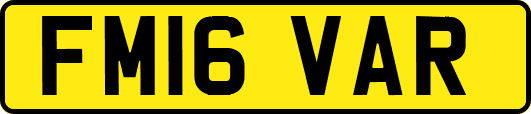 FM16VAR