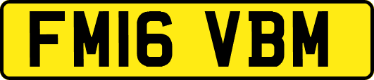 FM16VBM