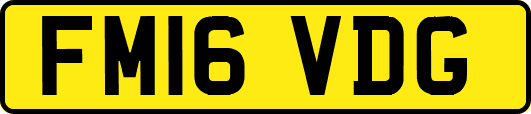 FM16VDG