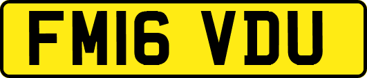FM16VDU