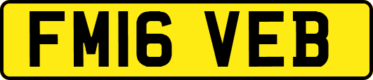 FM16VEB