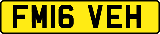 FM16VEH
