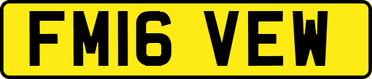 FM16VEW