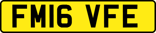 FM16VFE