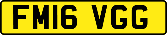 FM16VGG