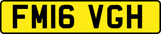 FM16VGH
