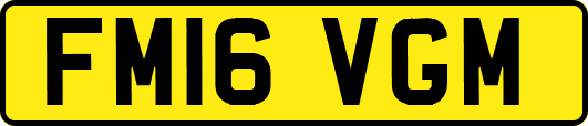 FM16VGM