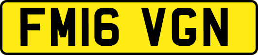 FM16VGN