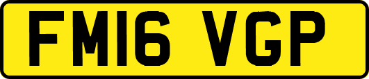 FM16VGP