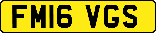 FM16VGS