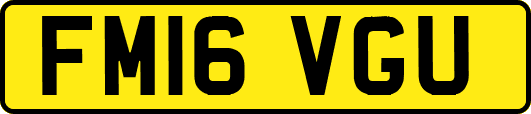 FM16VGU