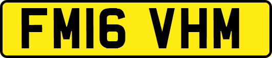 FM16VHM