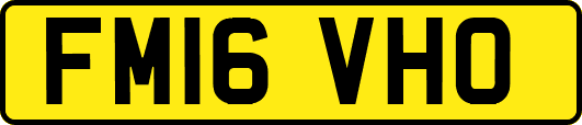 FM16VHO