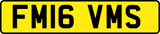 FM16VMS
