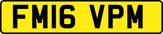 FM16VPM