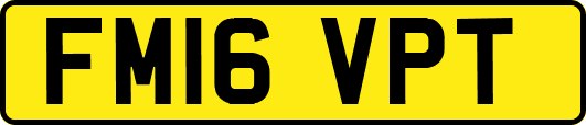 FM16VPT