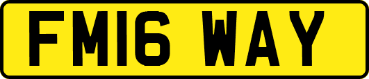 FM16WAY