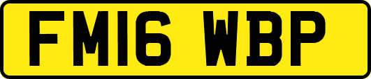 FM16WBP