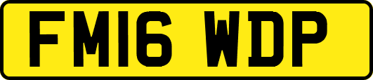 FM16WDP