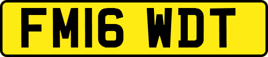 FM16WDT