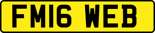 FM16WEB