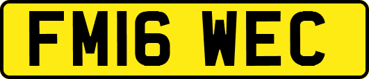 FM16WEC